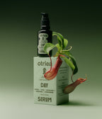 Otriea Day Serum