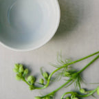 Sorella Apothecary Spiced Wine Toner botanical image